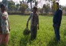 उन्नत तकनीक और जैविक खेती कर अंकालू राम ने की आर्थिक स्थिति मजबूत