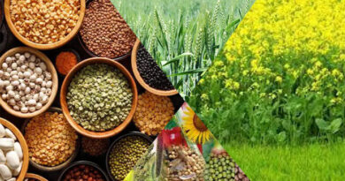इंदिरा गांधी कृषि विश्वविद्यालय फसलों की 465 किस्मों का पंजीयन कर देश में दूसरे स्थान पर