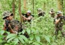 ‘ऑपरेशन संकल्प’ में अब तक की सबसे बड़ी सफलता: कर्रेटगुट्टा के जंगलों से 31 नक्सलियों के शव बरामद