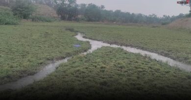 सीमेंट संयंत्र के प्रदूषित पानी से बर्बाद हो रहे खेत, किसानों का फूटा गुस्सा