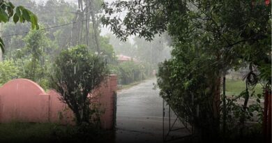 छत्तीसगढ़ में मानसून दोबारा सक्रिय, अगले कुछ दिनों में भारी बारिश का अलर्ट