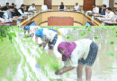 छत्तीसगढ़ में किसानों की समृद्धि के लिए ऐतिहासिक फैसले, धान खरीदी से लेकर मुफ्त बिजली तक