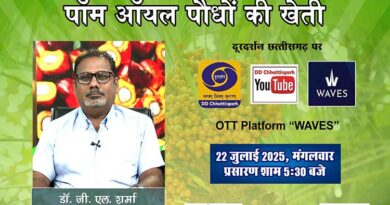 पाम ऑयल की खेती पर डीडी छत्तीसगढ़ का विशेष प्रसारण – प्रो. डॉ. जी. एल. शर्मा करेंगे विशेषज्ञ चर्चा