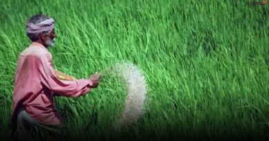 डीएपी की कमी पर छत्तीसगढ़ सरकार की वैकल्पिक रणनीति, किसानों को मिलेगा भरपूर उर्वरक
