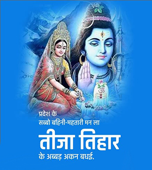 विवरण