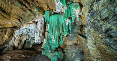 कांगेर घाटी राष्ट्रीय उद्यान में मिला नया प्राकृतिक चमत्कार: “ग्रीन केव” बनेगा पर्यटन का नया आकर्षण