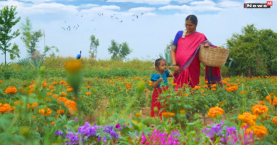 मातृ वंदन योजना में छत्तीसगढ़ बना नंबर वन, तेज क्रियान्वयन और शिकायत निराकरण से हासिल की बड़ी सफलता