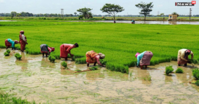 भूमिहीन मजदूरों को बड़ी राहत: 25 मार्च को 500 करोड़ की सहायता राशि जारी करेंगे मुख्यमंत्री विष्णुदेव साय