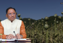 छत्तीसगढ़ में अवैध अफीम खेती पर सख्त सरकार, मुख्यमंत्री विष्णु देव साय ने दिए कड़ी कार्रवाई के निर्देश