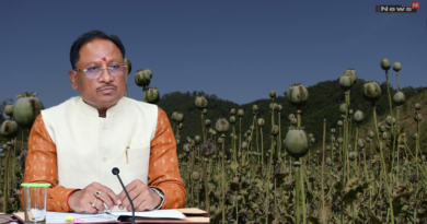छत्तीसगढ़ में अवैध अफीम खेती पर सख्त सरकार, मुख्यमंत्री विष्णु देव साय ने दिए कड़ी कार्रवाई के निर्देश