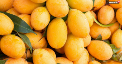 हैदराबाद में केमिकल से पकाए जा रहे आमों पर सख्ती, पुलिस और नगर निगम की बड़ी कार्रवाई