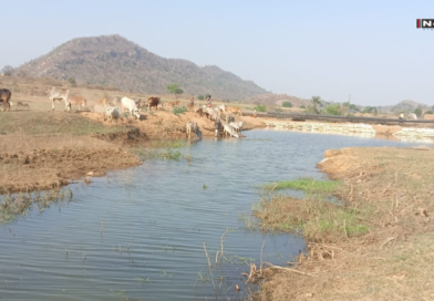 मनरेगा से पनारी नाले को मिला नया जीवन, 1200 ग्रामीणों को पेयजल और सिंचाई का लाभ
