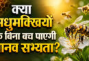 क्या मधुमक्खियों के बिना बच पाएगी मानव सभ्यता?