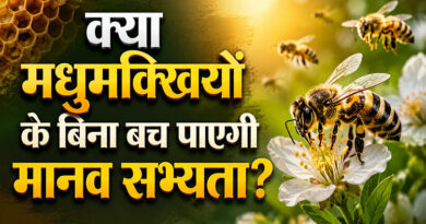 क्या मधुमक्खियों के बिना बच पाएगी मानव सभ्यता?