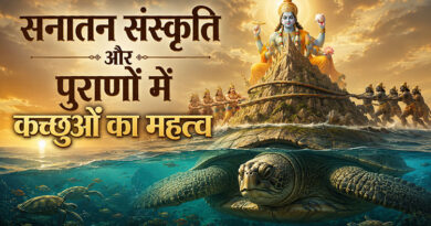 सनातन संस्कृति और पुराणों में कछुओं का महत्व