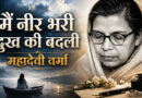 मैं नीर भरी दुख की बदली