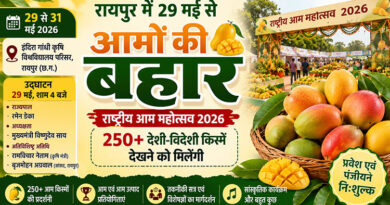 रायपुर में 29 मई से लगेगी आमों की बहार, राष्ट्रीय आम महोत्सव में दिखेंगी 250 से अधिक देशी-विदेशी किस्में