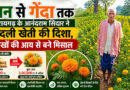 धान से गेंदा तक: रायगढ़ के आनंदराम सिदार ने बदली खेती की दिशा, लाखों की आय से बने मिसाल