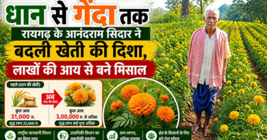 धान से गेंदा तक: रायगढ़ के आनंदराम सिदार ने बदली खेती की दिशा, लाखों की आय से बने मिसाल